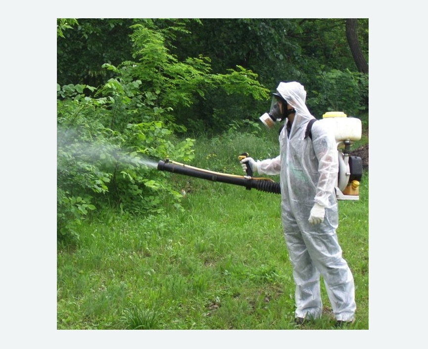 обработка территории от клещей в Минусинске