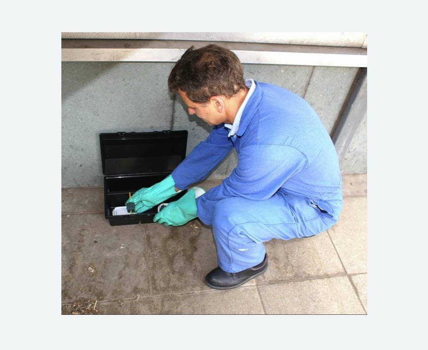 Уничтожение мышей в Минусинске Уничтожение мышей