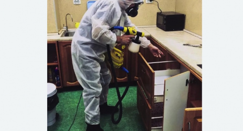 Уничтожение насекомых в квартире. Минусинск