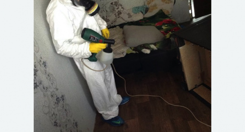 Обработка квартир от насекомых в Минусинске