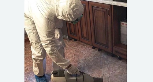 Уничтожение тараканов в квартире. Минусинск