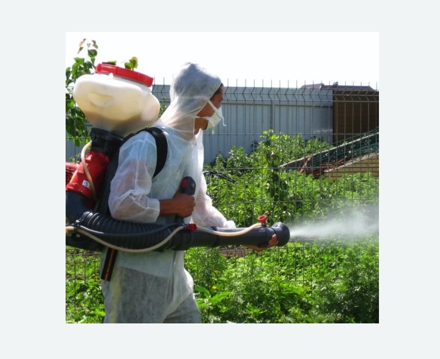 Акарицидная обработка территории в Минусинске