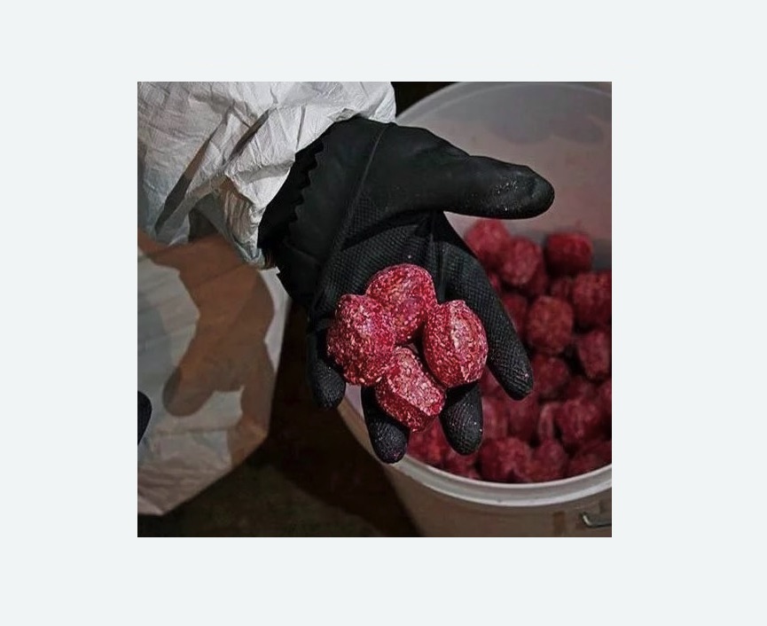 Обработка от крыс в Минусинске