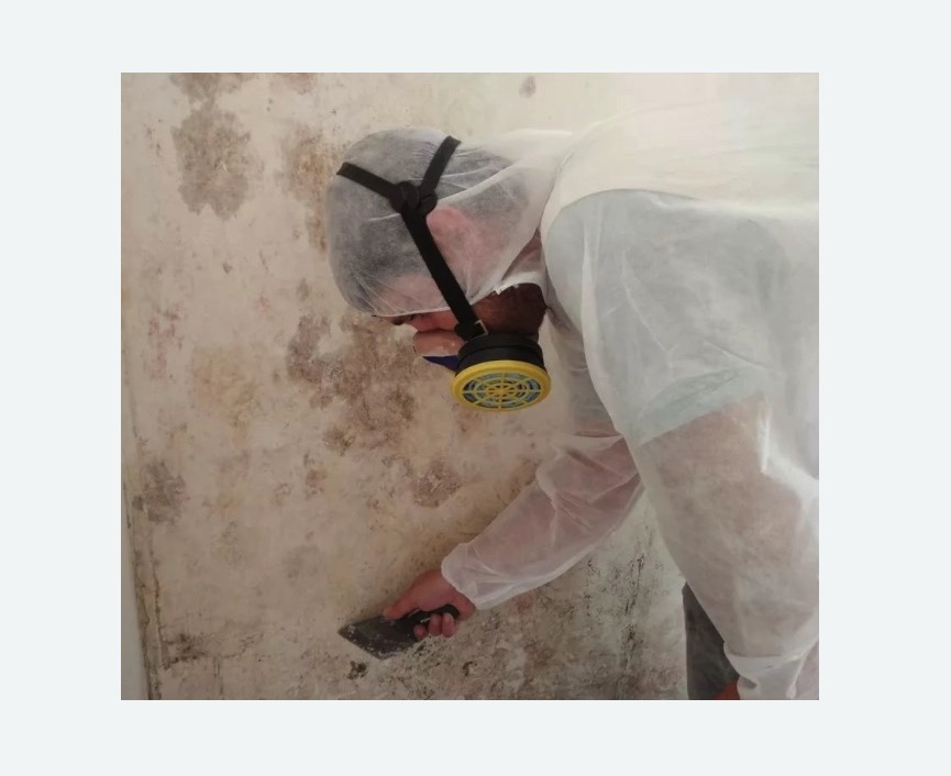 Обработка стен от плесени в Минусинске