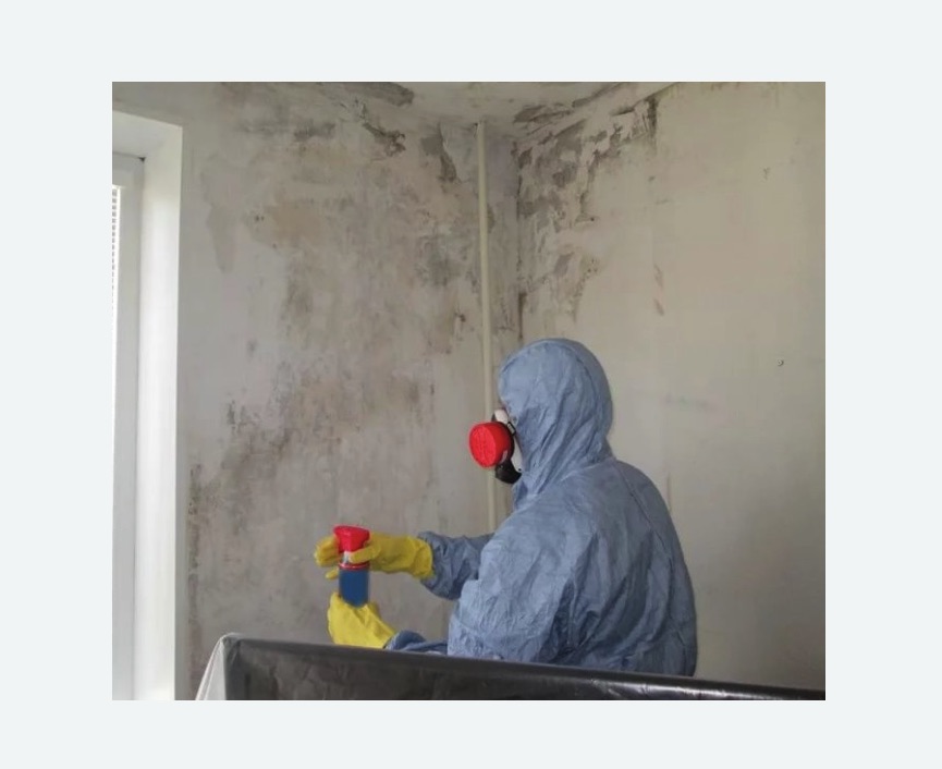 Удаление плесени в квартире в Минусинске