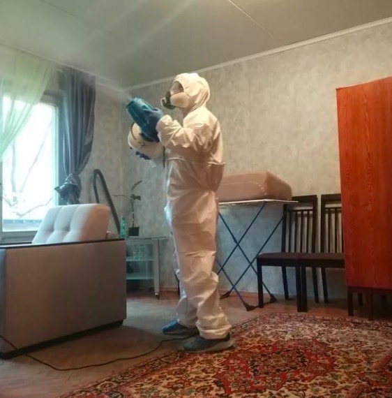 дезинсекция квартиры в Минусинске