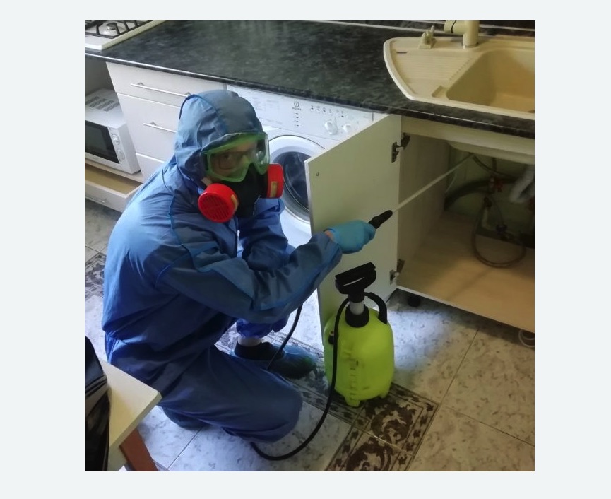 обработка от муравьев в квартире в Минусинске